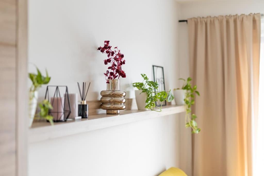 Apartmán Slovakia Slnecnice 1